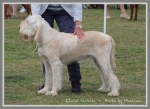 Filename=R Abrielle.jpg
Filesize=342KiB
Dimensions=900x657
Date added=May 26, 2014 R Abrielle.jpg