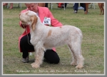Filename=R FairDinkum.jpg
Filesize=357KiB
Dimensions=900x657
Date added=May 26, 2014 R FairDinkum.jpg