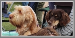 Filename=Ringside-2.jpg
Filesize=209KiB
Dimensions=900x461
Date added=May 26, 2014 Ringside-2.jpg