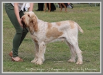 Filename=S Legno.jpg
Filesize=361KiB
Dimensions=900x657
Date added=May 26, 2014 S Legno.jpg