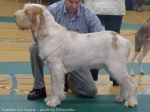 Filename=H-KirRoyale.jpg
Filesize=97KiB
Dimensions=800x600
Date added=May 26, 2014 H-KirRoyale.jpg