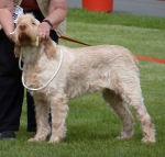 Filename=K-EbrelFyllys.jpg
Filesize=258KiB
Dimensions=800x765
Date added=Aug 09, 2017 K-EbrelFyllys.jpg
