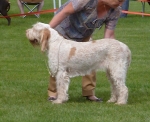Filename=R-FairDinkum.jpg
Filesize=232KiB
Dimensions=800x654
Date added=Aug 09, 2017 R-FairDinkum.jpg