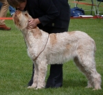 Filename=R-Kemelia.jpg
Filesize=270KiB
Dimensions=800x739
Date added=Aug 09, 2017 R-Kemelia.jpg