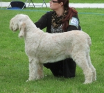 Filename=A-Amelia.jpg
Filesize=260KiB
Dimensions=800x716
Date added=May 27, 2014 A-Amelia.jpg