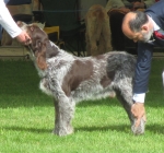 Filename=B-Noccino.jpg
Filesize=283KiB
Dimensions=800x751
Date added=May 27, 2014 B-Noccino.jpg