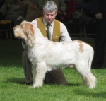 Filename=H-KirRoyale.jpg
Filesize=222KiB
Dimensions=800x763
Date added=May 27, 2014 H-KirRoyale.jpg