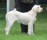 Filename=K-Kynah.jpg
Filesize=236KiB
Dimensions=800x695
Date added=May 27, 2014 K-Kynah.jpg