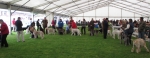 Filename=LimitDog.jpg
Filesize=142KiB
Dimensions=800x312
Date added=May 27, 2014 LimitDog.jpg
