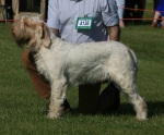 Filename=D-FiglioDiUnaPesca.jpg
Filesize=214KiB
Dimensions=800x663
Date added=Aug 09, 2017 D-FiglioDiUnaPesca.jpg