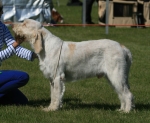 Filename=G-Roccamonfina.jpg
Filesize=216KiB
Dimensions=800x661
Date added=Aug 09, 2017 G-Roccamonfina.jpg