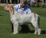Filename=H-KirRoyale.jpg
Filesize=227KiB
Dimensions=800x668
Date added=Aug 09, 2017 H-KirRoyale.jpg