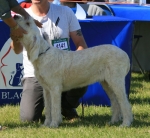 Filename=R-Cipriana.jpg
Filesize=261KiB
Dimensions=800x738
Date added=Aug 09, 2017 R-Cipriana.jpg