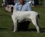 Filename=S-LaForte.jpg
Filesize=209KiB
Dimensions=800x659
Date added=Aug 09, 2017 S-LaForte.jpg