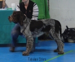 Filename=T-Ettore.jpg
Filesize=93KiB
Dimensions=800x657
Date added=May 27, 2014 T-Ettore.jpg