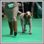 Filename=I Harriet-2.jpg
Filesize=172KiB
Dimensions=1077x1090
Date added=May 27, 2014 I Harriet-2.jpg