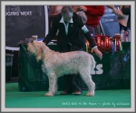 Filename=N GotToBeThere.jpg
Filesize=205KiB
Dimensions=1090x903
Date added=May 27, 2014 N GotToBeThere.jpg