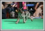 Filename=N PleaseDonTTease-3.jpg
Filesize=139KiB
Dimensions=1090x769
Date added=May 27, 2014 N PleaseDonTTease-3.jpg