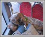 Filename=OnTheBus.jpg
Filesize=218KiB
Dimensions=1090x896
Date added=May 27, 2014 OnTheBus.jpg