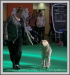 Filename=W RubyTuesday-2.jpg
Filesize=178KiB
Dimensions=1016x1090
Date added=May 27, 2014 W RubyTuesday-2.jpg