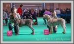 Filename=Winners-1.jpg
Filesize=167KiB
Dimensions=1090x650
Date added=May 27, 2014 Winners-1.jpg