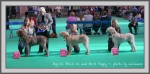 Filename=Winners-2.jpg
Filesize=158KiB
Dimensions=1090x543
Date added=May 27, 2014 Winners-2.jpg