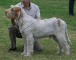 Filename=H-KirRoyale.JPG
Filesize=227KiB
Dimensions=800x636
Date added=Aug 09, 2017 H-KirRoyale.JPG