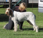 Filename=M-HecticHerbert.jpg
Filesize=318KiB
Dimensions=800x723
Date added=May 27, 2014 M-HecticHerbert.jpg