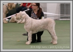 Filename=A Amelia.jpg
Filesize=171KiB
Dimensions=1090x782
Date added=May 27, 2014 A Amelia.jpg
