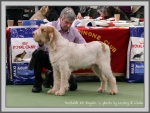 Filename=H KirRoyale.jpg
Filesize=231KiB
Dimensions=1090x823
Date added=May 27, 2014 H KirRoyale.jpg