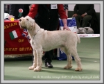 Filename=K Caswyn.jpg
Filesize=201KiB
Dimensions=1090x881
Date added=May 27, 2014 K Caswyn.jpg