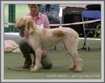 Filename=K Gabriella.jpg
Filesize=191KiB
Dimensions=1090x864
Date added=May 27, 2014 K Gabriella.jpg