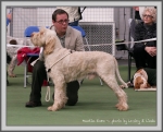 Filename=M Enzo.jpg
Filesize=223KiB
Dimensions=1090x881
Date added=May 27, 2014 M Enzo.jpg
