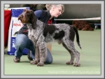 Dateiname=T Ettore.jpg
Dateigröße=202KB
Abmessungen: 1090x826
hinzugefügt am: 27. Mai 2014 T Ettore.jpg