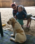 Nom du fichier=Puppies_10.jpg
Taille du fichier=405Ko
Dimensions : 800x1011
Ajouté le : 09 Août 2017 Puppies_10.jpg