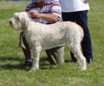 R-Ellena.jpg