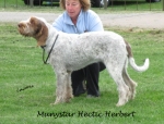 Filename=M-HecticHerbert.jpg
Filesize=236KiB
Dimensions=800x610
Date added=May 27, 2014 M-HecticHerbert.jpg