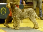 Filename=T-NellaFoschia.jpg
Filesize=131KiB
Dimensions=800x600
Date added=May 27, 2014 T-NellaFoschia.jpg