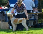 Filename=A-PawsForApplause.jpg
Filesize=164KiB
Dimensions=800x646
Date added=Aug 09, 2017 A-PawsForApplause.jpg