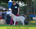 Dateiname=Hamac-NoroyDuPlessy2.jpg
Dateigröße=163KB
Abmessungen: 800x646
hinzugefügt am: 09. August 2017 Hamac-NoroyDuPlessy2.jpg