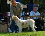 Dateiname=M-QuellaDoro.jpg
Dateigröße=154KB
Abmessungen: 800x646
hinzugefügt am: 09. August 2017 M-QuellaDoro.jpg