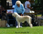 Filename=R-Abrielle2.jpg
Filesize=166KiB
Dimensions=800x646
Date added=Aug 09, 2017 R-Abrielle2.jpg