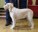 Filename=F-Elena.jpg
Filesize=222KiB
Dimensions=800x690
Date added=May 27, 2014 F-Elena.jpg