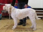 Filename=T-LittleFoxes.jpg
Filesize=192KiB
Dimensions=800x604
Date added=May 27, 2014 T-LittleFoxes.jpg