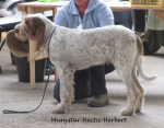 Filename=M-HecticHerbert.jpg
Filesize=188KiB
Dimensions=800x627
Date added=May 27, 2014 M-HecticHerbert.jpg