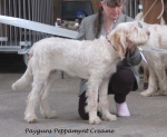 Filename=P-PeppamyntCreame.jpg
Filesize=209KiB
Dimensions=800x656
Date added=May 27, 2014 P-PeppamyntCreame.jpg