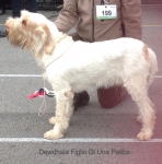 D-FiglioDiUnaPesca.jpg