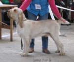 Filename=C-Chauki.jpg
Filesize=105KiB
Dimensions=800x676
Date added=May 27, 2014 C-Chauki.jpg