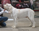 Filename=G-Roccamonfina.jpg
Filesize=107KiB
Dimensions=800x648
Date added=May 27, 2014 G-Roccamonfina.jpg