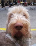 Filename=Jade.jpg
Filesize=155KiB
Dimensions=800x1015
Date added=May 27, 2014 Jade.jpg